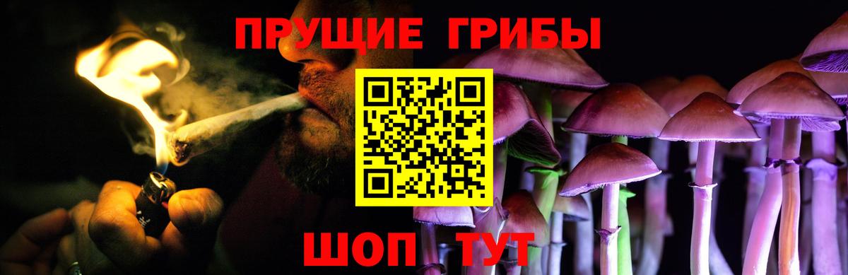 Псилоцибиновые грибы Psilocybe  Вход с VPN  Псилоцибиновые грибы Psilocybe  Новодвинск 
