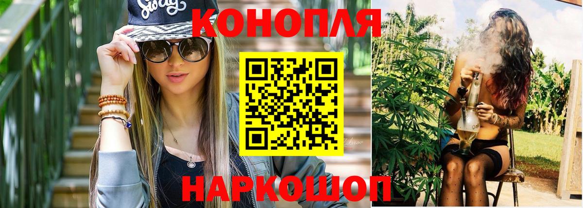 Канабис OG Kush Новодвинск